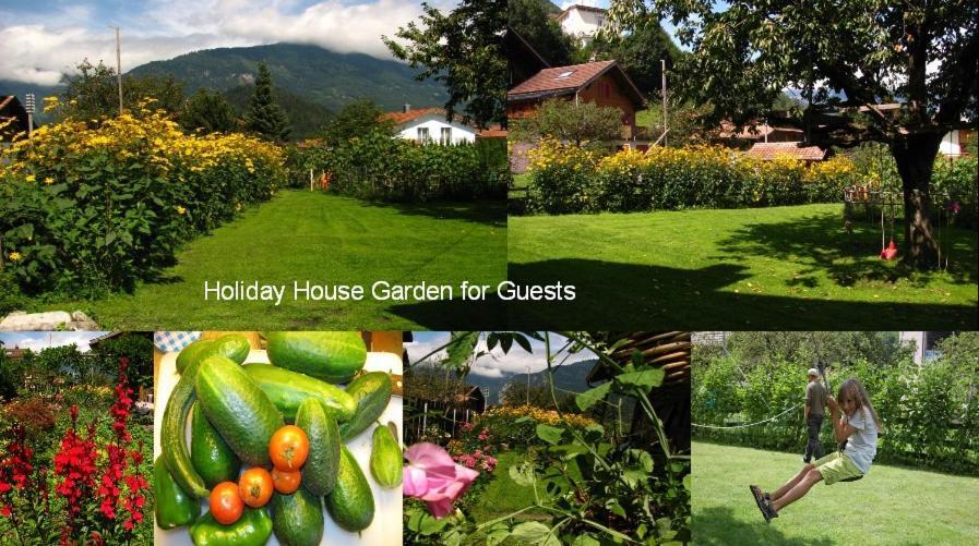 Swiss Holiday House Wilderswil Eksteriør billede